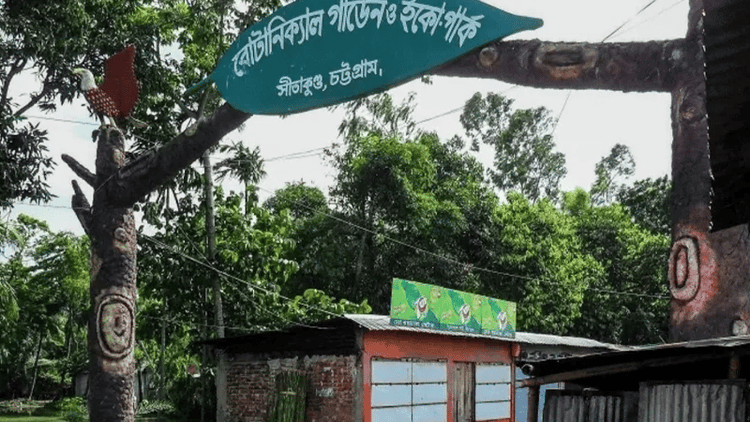 7-year-old girl found with slashed throat in Sitakunda forest