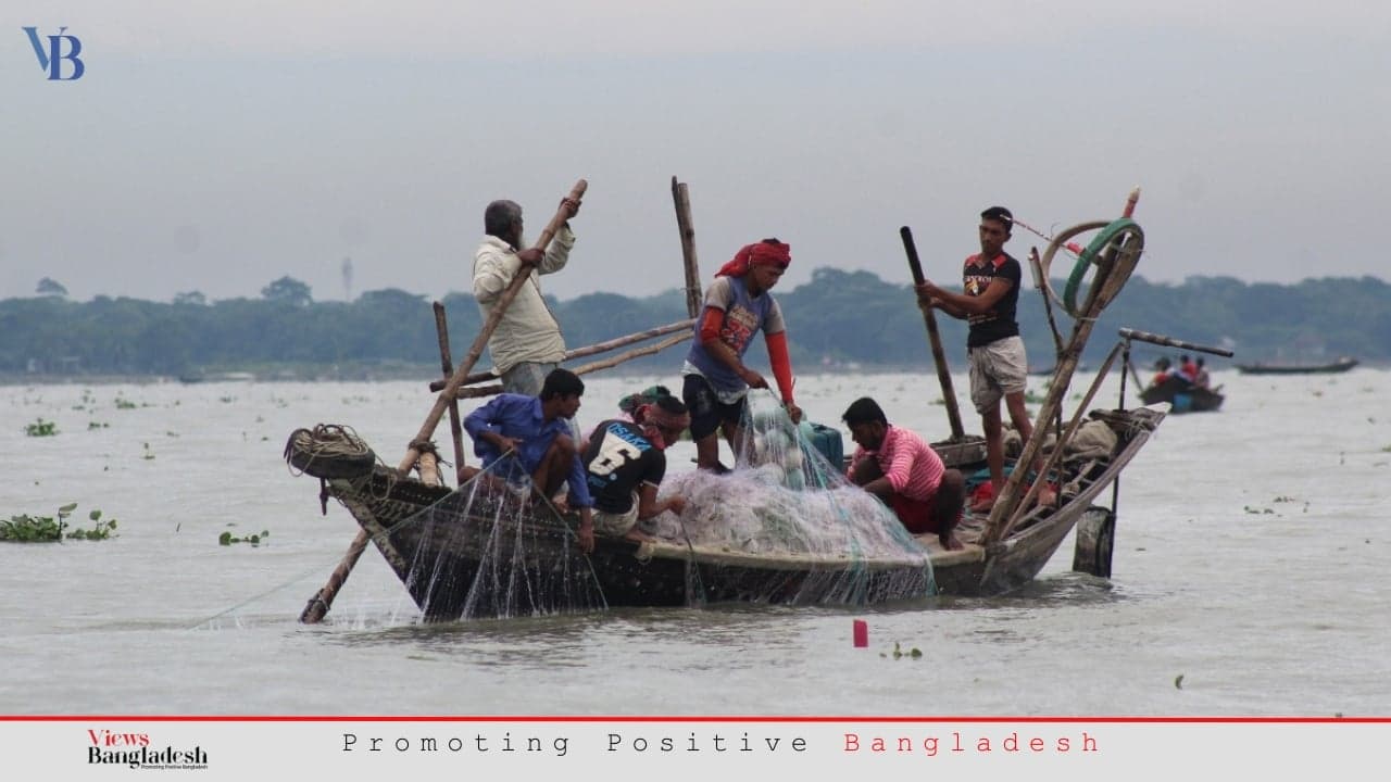 নিষেধাজ্ঞা অমান্যকারী ইলিশ শিকারিদের শাস্তির আওতায় আনুন