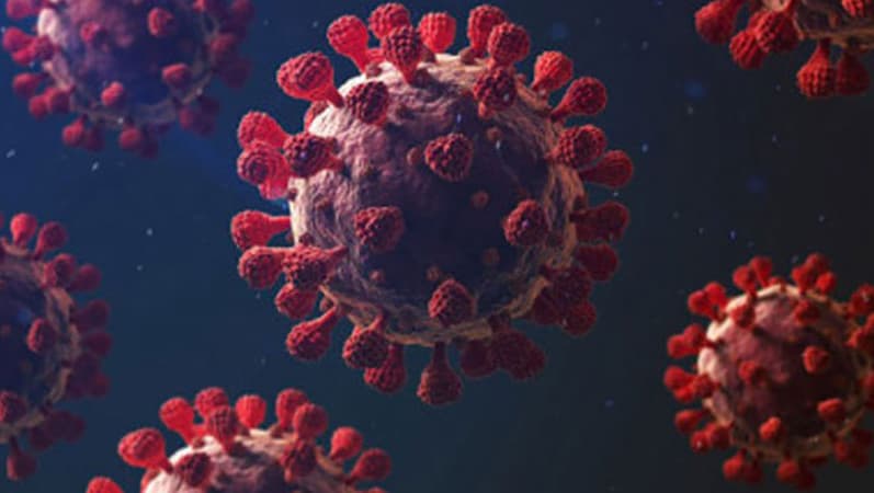 One dead, 8 new Covid cases reported in 24hrs