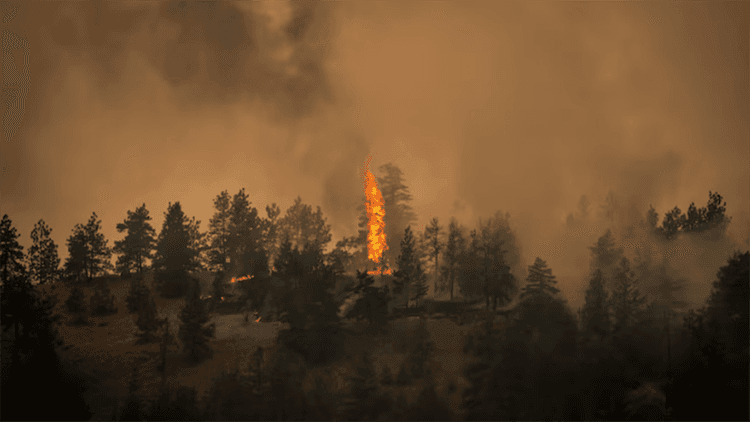 British Columbia declares emergency as 100+ wildfires rage
