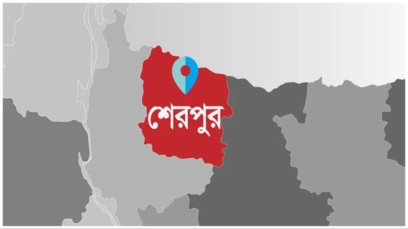 Two killed, including former UP member, in Sherpur fire