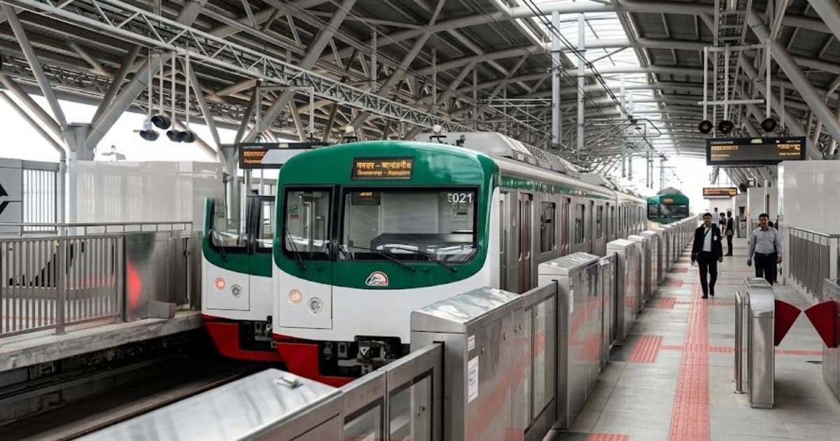 Metro rail services temporarily suspended after cat enters track area