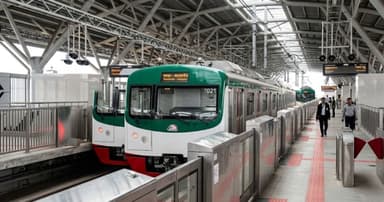 Metro rail services temporarily suspended after cat enters track area