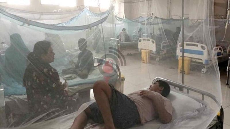 10 more die of dengue, 966 hospitalised