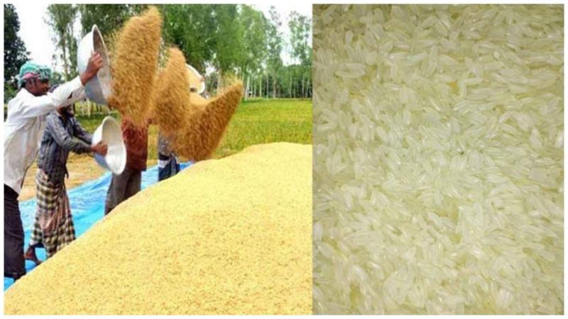 Govt to buy rice at Tk 45 per kg during Boro season