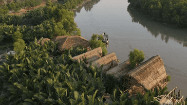 Directive to close 24 resorts built adjacent to Sundarbans