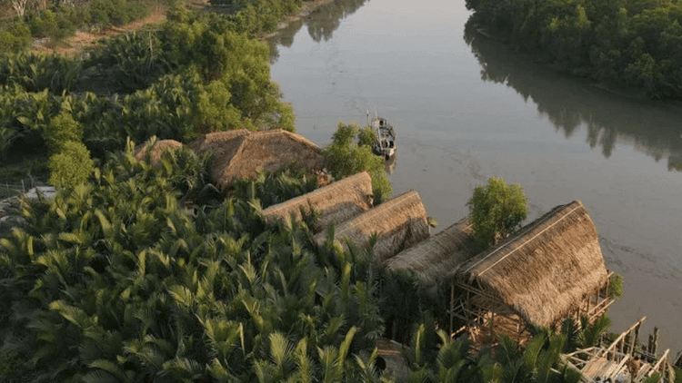 Directive to close 24 resorts built adjacent to Sundarbans