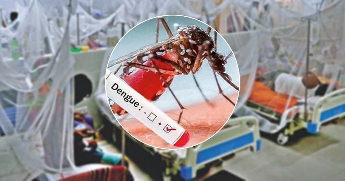 dengue