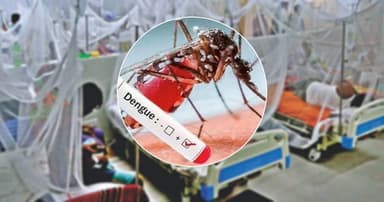 dengue