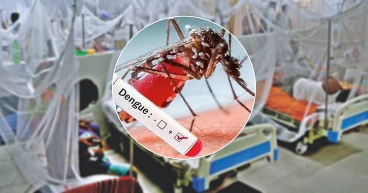 dengue