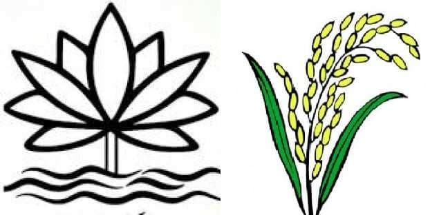 lily and sheaf of paddy