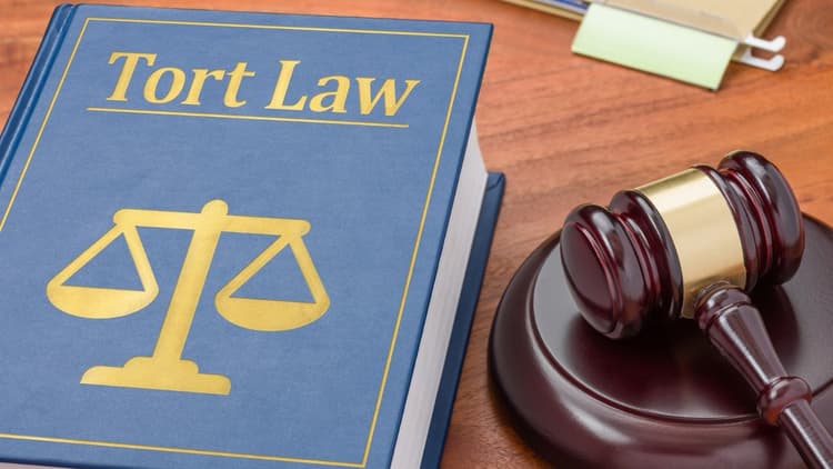 Tort law handles crime and compensatory cases