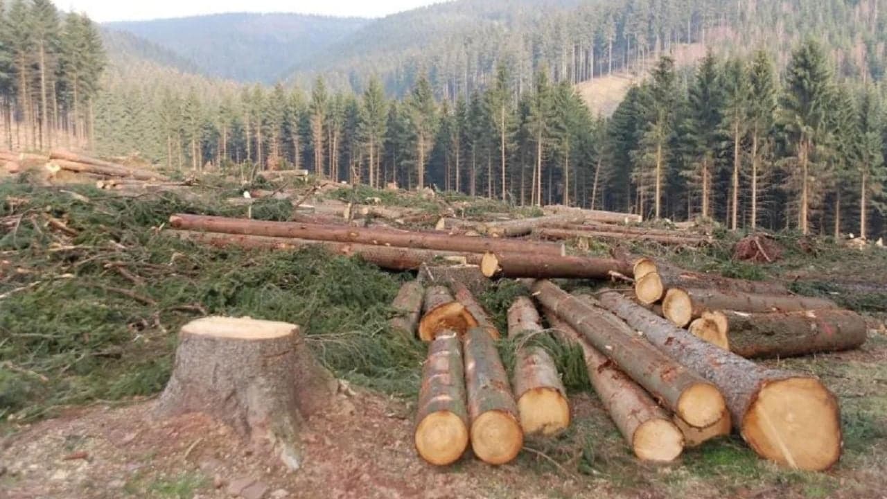 Take measures against the perpetrators