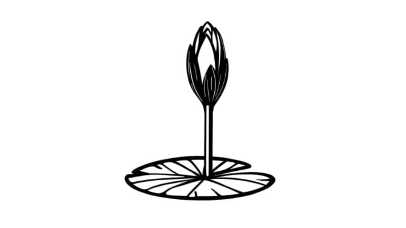 NCP’s ‘Shapla Koli’ symbol added to EC website