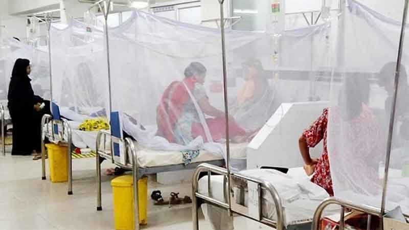 394 new dengue cases reported in 24 hrs, 3 dead this week