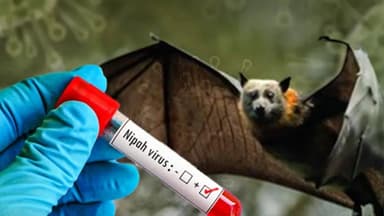 First Nipah virus death in country recorded this year