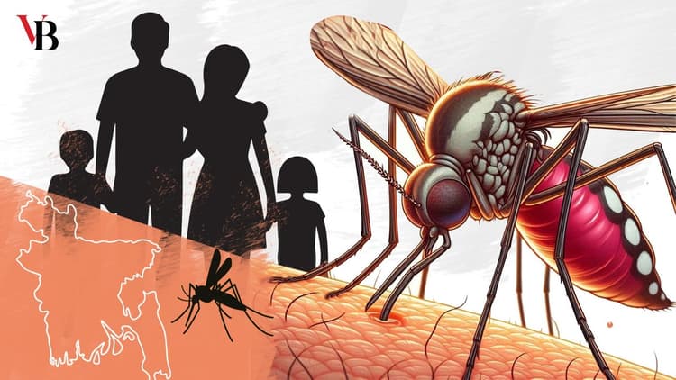 Dengue: Awareness needed to save lives