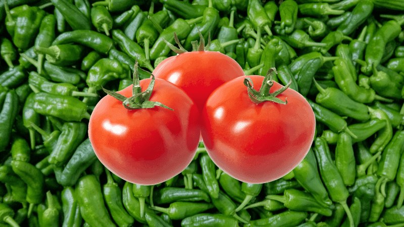 Cabinet approves proposal to reduce customs duty, taxes on green chilli, tomato import