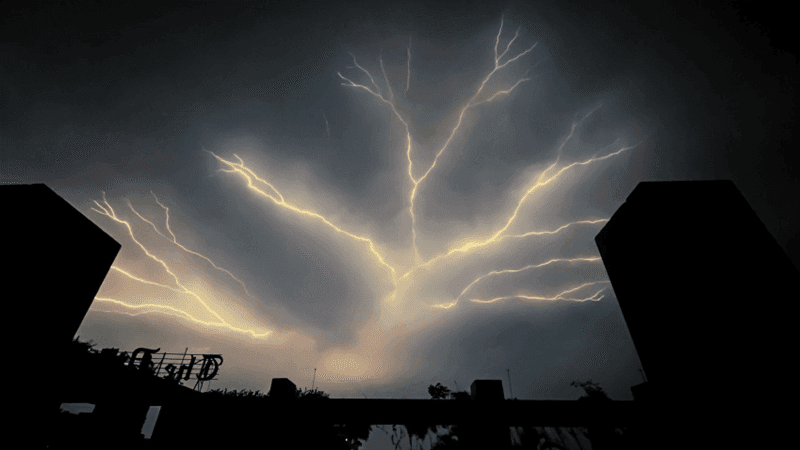 3 killed in lightning strike in Netrakona