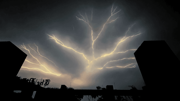3 killed in lightning strike in Netrakona