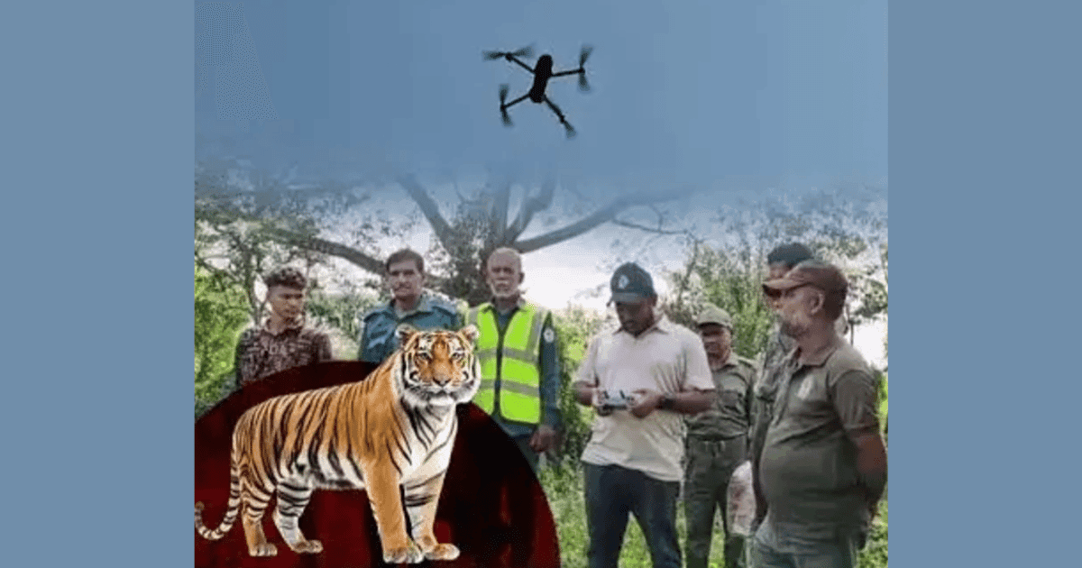 Five villages on alert as Royal Bengal Tiger spotted near Sharan­khola locality