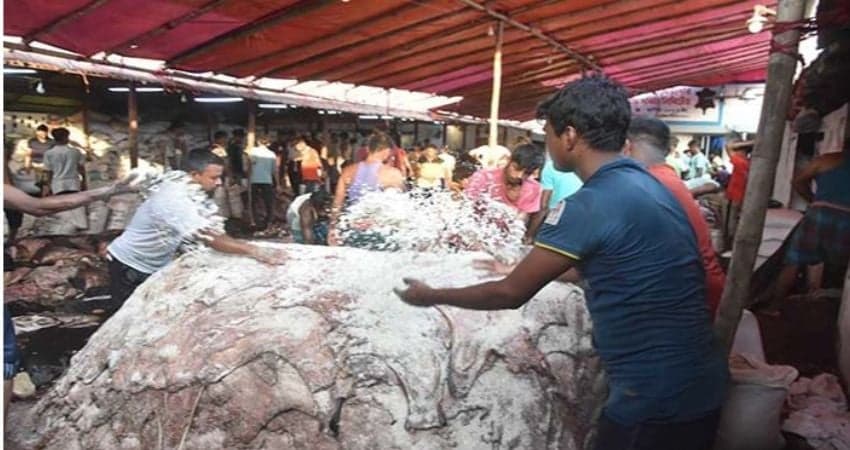 Raw hide market disappoints again