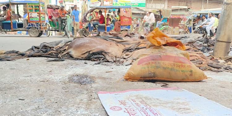Seasonal traders dump hides on streets in Brahmanbaria amid buyer crisis