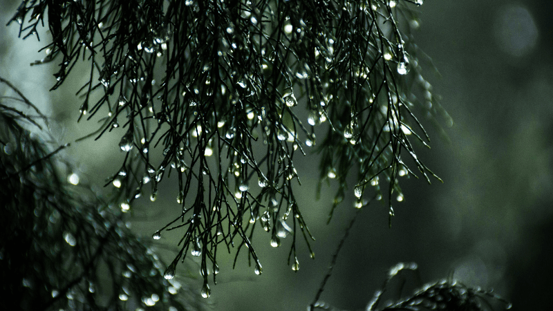 Light rain likely in Dhaka, temperature may drop slightly