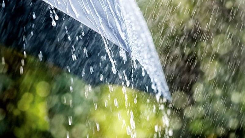 Rain likely across country for five days, heavy showers in some areas