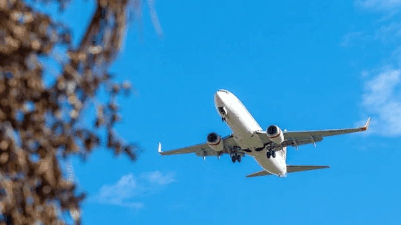 Russian plane with 50 onboard goes missing