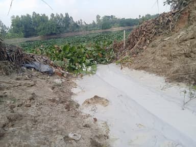Korotoa river under threat from encroachment, pollution by TMSS