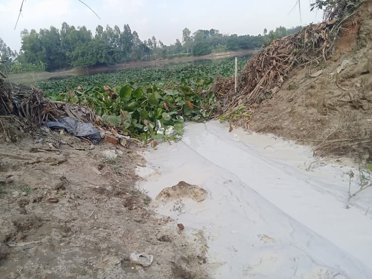 Korotoa river under threat from encroachment, pollution by TMSS
