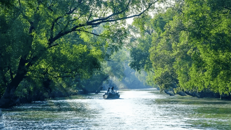 Sundarbans to reopen on September 1 after 3-month ban