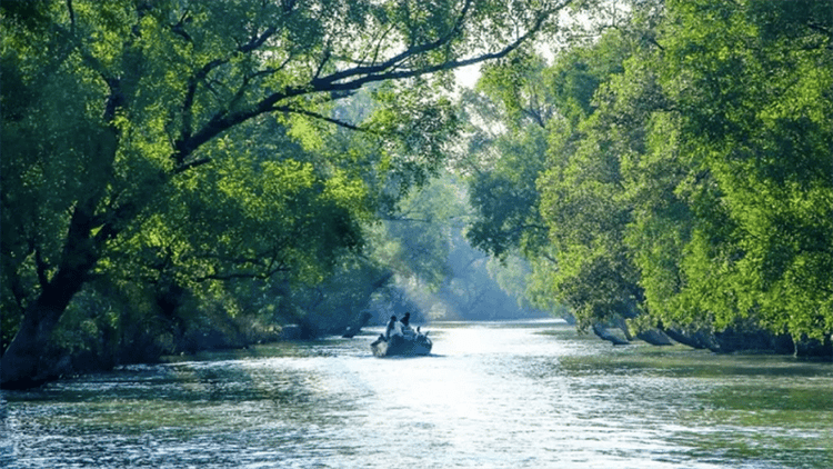 Sundarbans to reopen on September 1 after 3-month ban