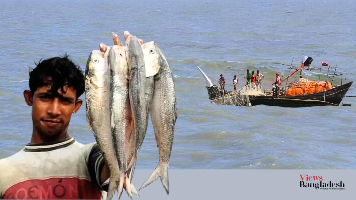 Everyone could enjoy having hilsa this time