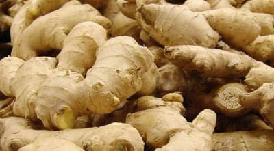 Tk391cr ginger imported thru Bhomra land port