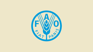 Global food prices rise for 3rd straight month: FAO
