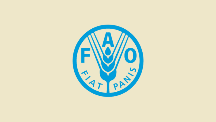 Global food prices rise for 3rd straight month: FAO