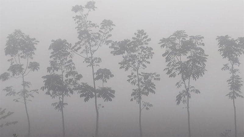 Temperature drops again to 9 degrees in Panchagarh