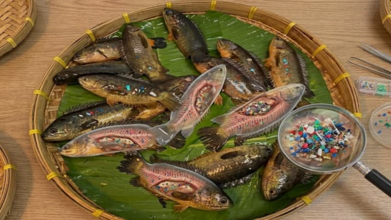 BAU study finds microplastics in fish