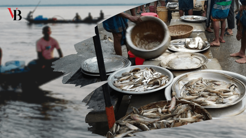 'No fish to be left in Jamuna in a decade'
