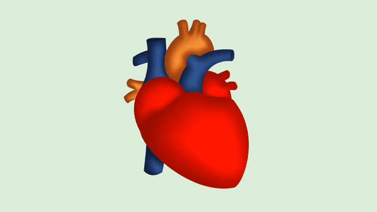 World Heart Day today