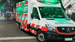 Two die of heart attacks in Argentina during World Cup final