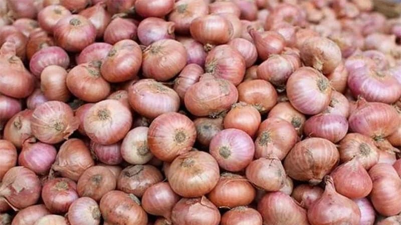 50,000 tonnes onions to be imported from India: State Minister