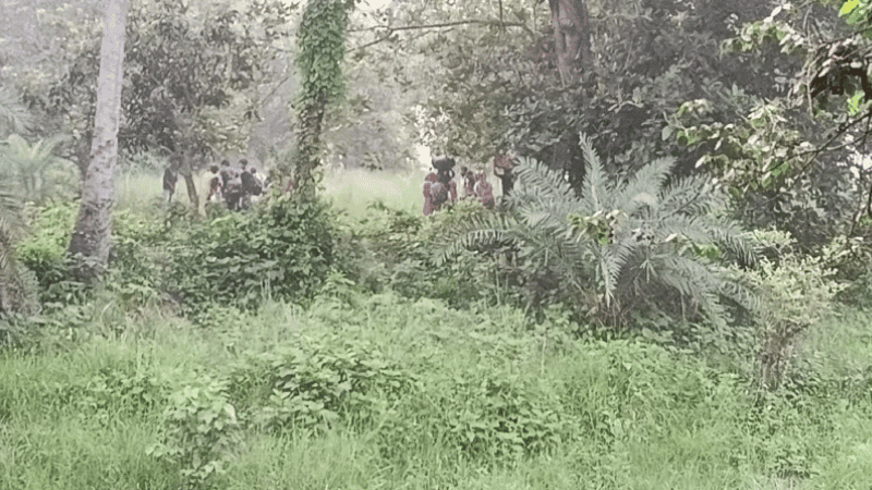 BSF attempts ‘push-in’ of 28 people at Chapainawabganj Border