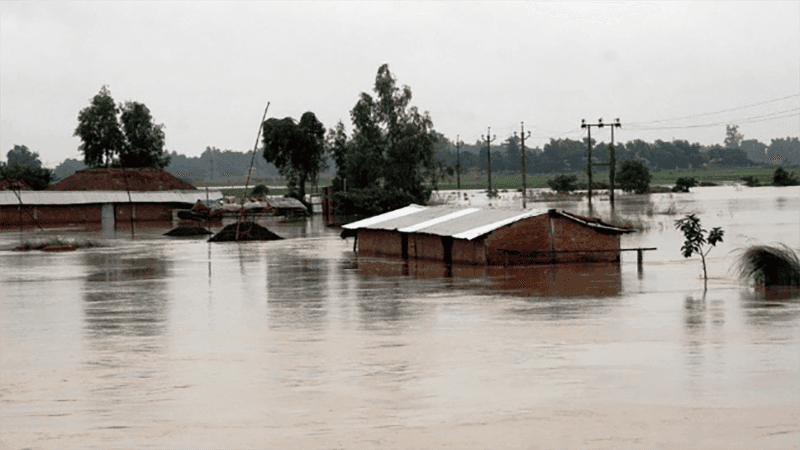 Flood fears mount in four Rangpur districts as Teesta, Dharla and Dudhkumar rivers swell