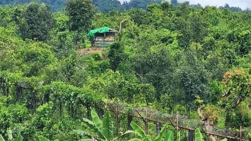 ফের বাংলাদেশে পালিয়ে এসেছে মিয়ানমারের ৩ সেনা সদস্য