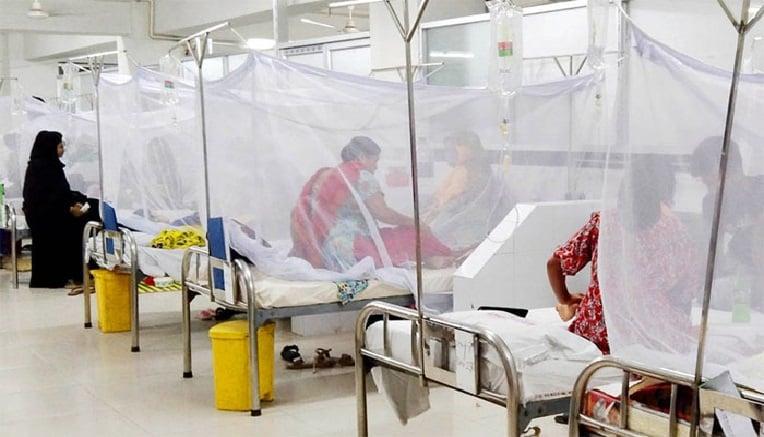 Dengue: 11 more die in 24 hrs