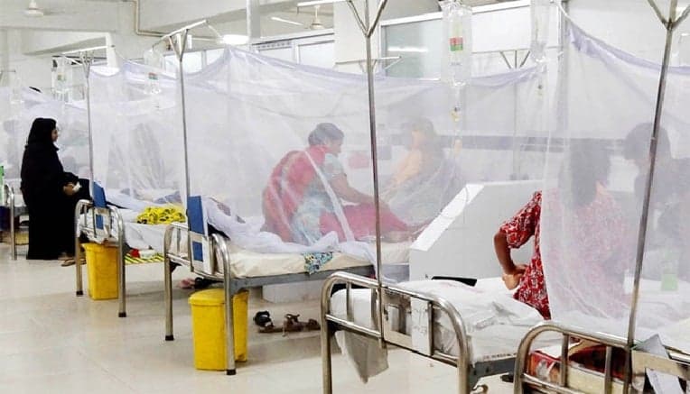 One more dengue patient dies, 605 hospitalised in 24 hrs