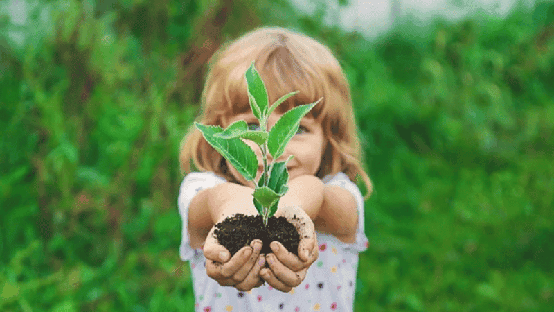 Government announces 'One Child, One Tree' programme